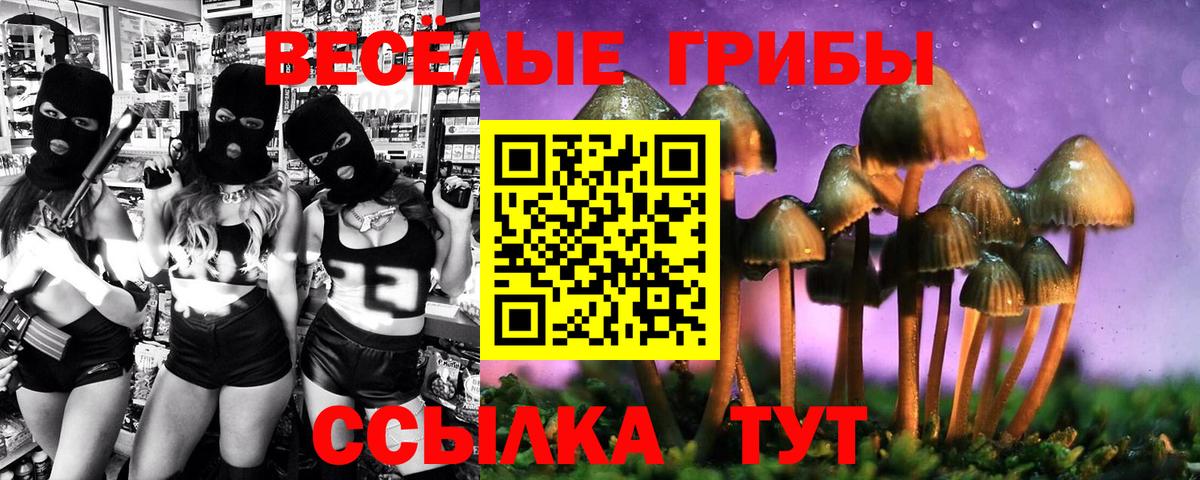 Курчалой  как найти закладки  Вход с VPN  Галлюциногенные грибы мухоморы  Галлюциногенные грибы ЛСД 