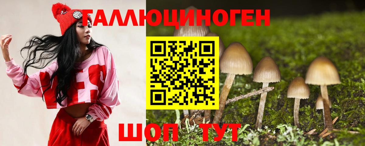 Галлюциногенные грибы прущие грибы Курчалой